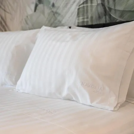 Anavolia Luxury Apartmán *